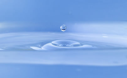 �X�e�����X��