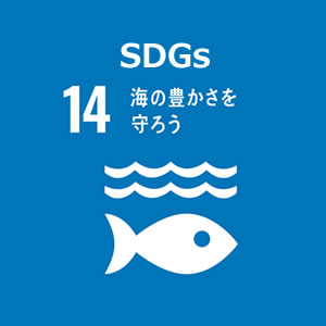 SDGs