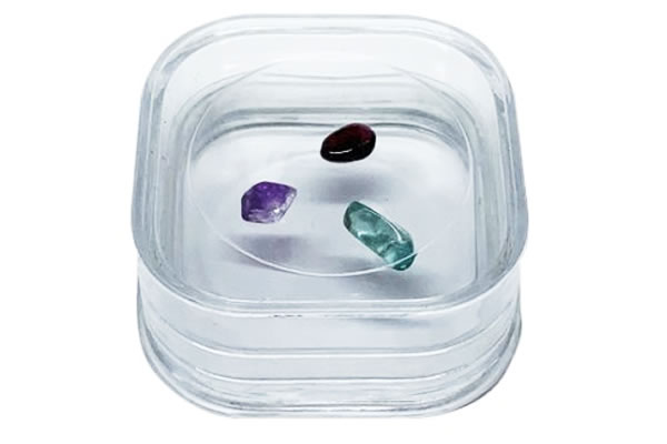 �����̃��[�X�P�[�X