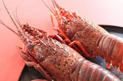 ���i���Ȃ������������H�ׂ���