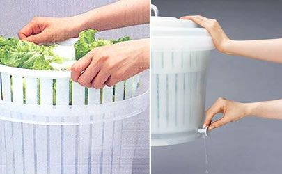 �T���_�X�s�i�[�i���؂��j