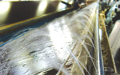 �����i�ĂȂ���j