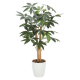 �A�[�g�N���G�C�V���� �p�L�� ���t �p�L��90 W480�~D480mm
