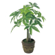 �A�[�g�N���G�C�V���� �p�L�� ���t �p�L���|�b�g W280�~D280mm