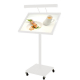 ���j���[�X�^���h LED���C�g�t MFA2 �z���C�g