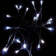 LED �t�����[���C�g �z���C�g