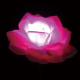 LED���`�[�t���C�g �t�����[���[�Y �s���N