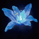 LED���`�[�t���C�g �t�����[�����[ �u���[