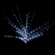 LED�c�C���N���\�t�g�u�����` �� �z���C�g