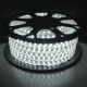 LED�e�[�v���C�g �z���C�g