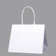 �V���W�} �X���[�X�o�b�O ���N���n 300������ 25-19 W250�~D190�~H210mm
