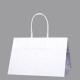 �V���W�} �X���[�X �o�b�O �����n 300������ 31-19 W310�~D190�~H210mm