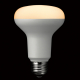 R80���t�`LED�d�� �����Ή� �d���F