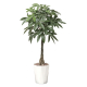�A�[�g�N���G�C�V���� �p�L�� ���t �p�L��1.25 W650�~�c650mm