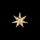LED�Z�p���[�c�M�����N�V�[ �� �E�H�[���z���C�g2���H
