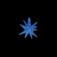 LED�Z�p���[�c�M�����N�V�[ �� �u���[4���H