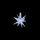 LED�Z�p���[�c�M�����N�V�[ �� �z���C�g4���H