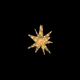 LED�Z�p���[�c�M�����N�V�[ �� �E�H�[���z���C�g4���H