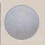 �f�R�o���[�� 10������ 23cm ��