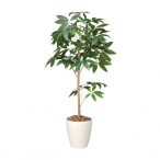 �A�[�g�N���G�C�V���� �p�L���g�s�A���[ ���t H1200mm