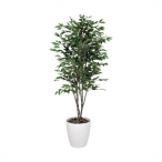 �A�[�g�N���G�C�V���� �x���W���~���c���[ ���t H1600mm