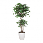 �A�[�g�N���G�C�V���� �g���s�J���x���W���~�� ���t H1600mm