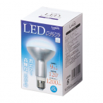 LED�d�� ���t���^�C�v 100W���� ���F