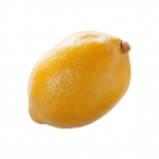 SP������