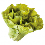 ���^�X ��