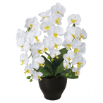 �A�[�g�N���G�C�V���� �Ӓ����Z���[�XW �z���C�g