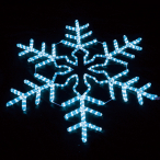 LED �X�m�[�t���[�N �� �u���[