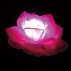 LED���`�[�t���C�g �t�����[���[�Y �s���N