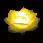 LED���`�[�t���C�g �t�����[���[�Y �C�G���[