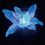 LED���`�[�t���C�g �t�����[�����[ �u���[