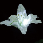 LED���`�[�t���C�g �t�����[�����[ �z���C�g