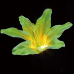 LED���`�[�t���C�g �t�����[�����[ �C�G���[