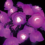 LED���[�Y�X�g�����O�X �s���N