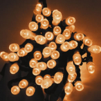 �v���~�A���X����LED�X�g�����O �N���A�R�[�h W�z���C�g