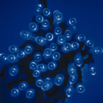 �v���~�A���X����LED�X�g�����O �N���A�R�[�h �u���[
