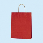 �V���W�} ��񂰎��� 2�� ���N 200������ 25CB �I�����W