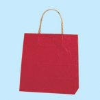 �V���W�} ��񂰎��� ���N 300������ 25CB21-12 ��