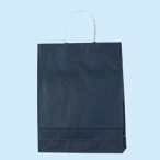�V���W�} ���� 200������ V3276703 �A�C