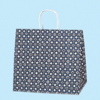 �V���W�} ���� �ÑK 200������ V3269900 W340�~D220�~H320mm