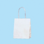 �V���W�} �X���[�X �����n 300������ 16-09 W160�~D90�~H195mm