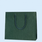 �V���W�} ��񂰎��� �J���[ 3�� 100������ �N���t�g