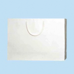 �V���W�} ��񂰎��� W450�~D120�~H330mm 50������ PB-Y2 ��