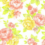 �V���W�} ��� ���ˏ㎿ 1000�� �G���v���X���[�Y