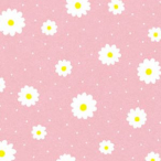 �V���W�} ��� ���˓��� 1000�� �v���G�[�� �s���N