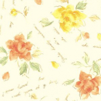 �V���W�} ��� �M�t�g �S���F�㎿ 500�� �|�G�b�g