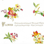 �V���W�} ��� �M�t�g �S���R�[�g 500�� �V�b�N�X�t�����[